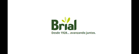 Brial